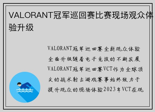 VALORANT冠军巡回赛比赛现场观众体验升级
